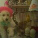 Mi primer añito